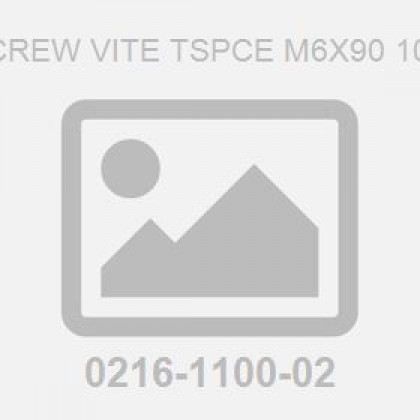 Screw Vite Tspce M6X90 10.9
